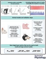 A cross-species validation of single-beat metrics of cardiac contractility