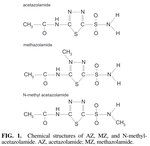 The Impact of Acetazolamide and Methazolamide on Exercise Performance in Normoxia and Hypoxia