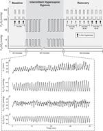 Peripheral chemoreflex contribution to ventilatory long-term facilitation induced by acute intermittent hypercapnic hypoxia in males and females